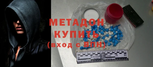 шишки Дубна