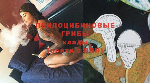 эйфоретик Богородицк