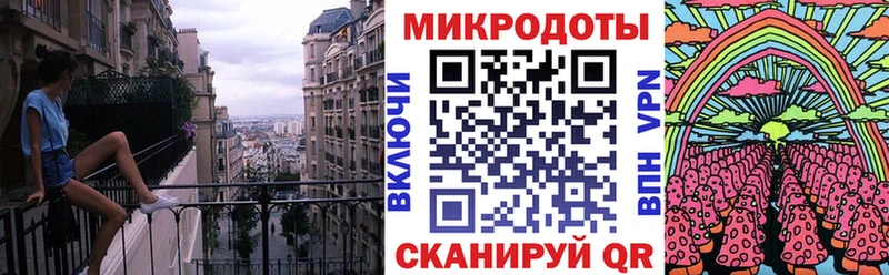 Псилоцибиновые грибы Psilocybe  Кингисепп 